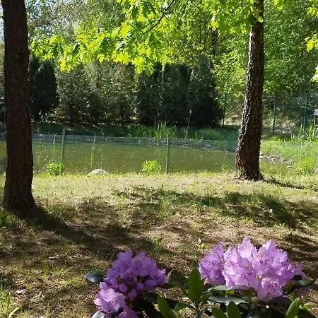 Wierzbinowy Pokój 2 Osobowy Orzysz